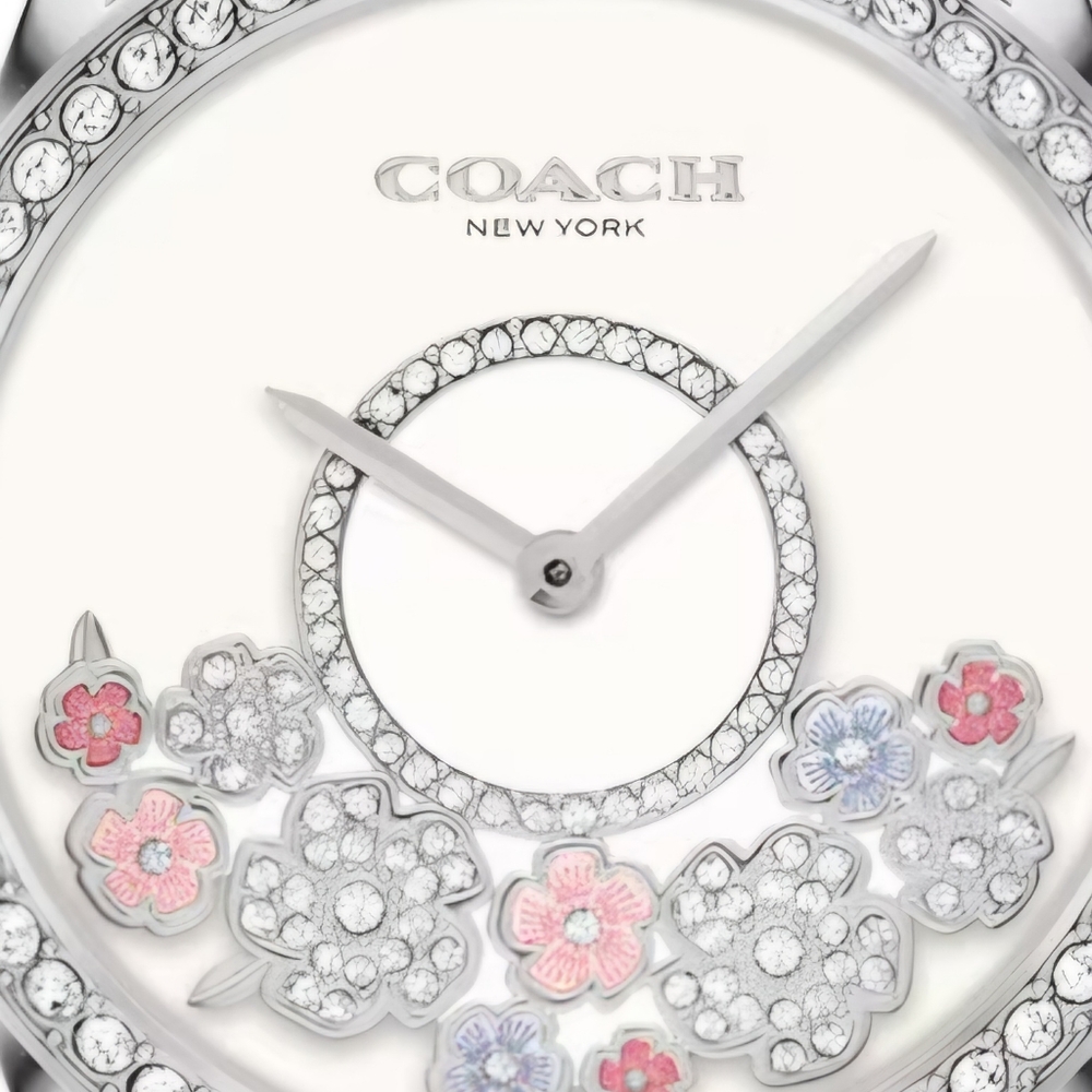 Coach Preston ladies watch